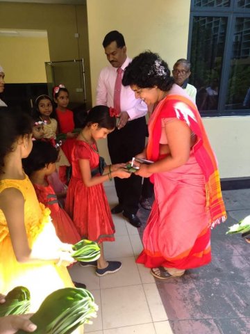 නත්තල් වැඩසටහන